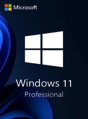 Windows 11 Pro License(Physically)